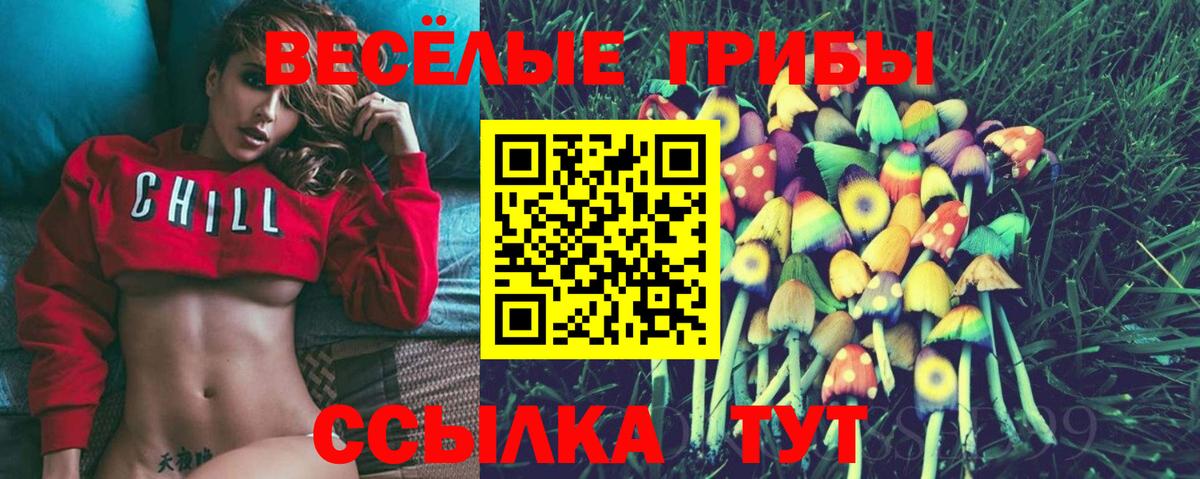 Галлюциногенные грибы Cubensis Сунжа